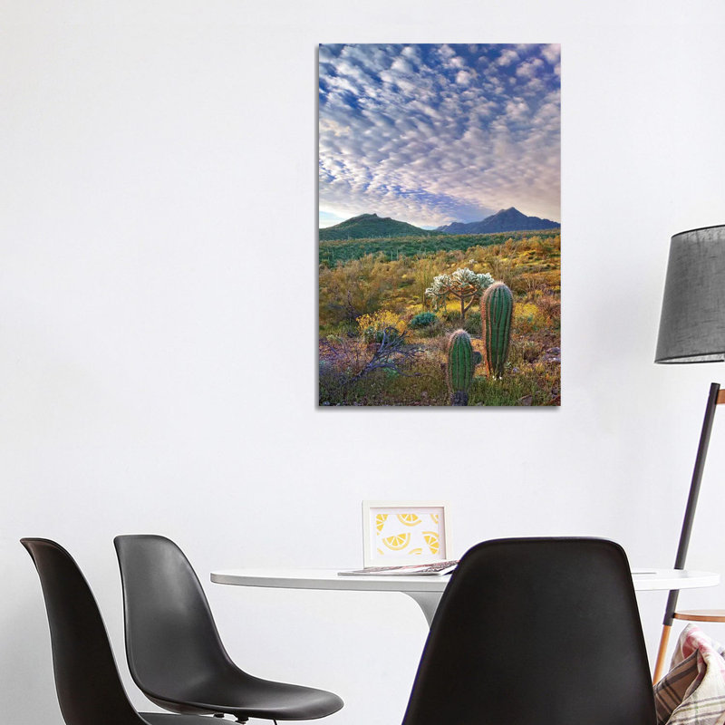 Saguaro and Teddybear Cholla, Arizona Amid Flowering Lupine and California Brittlebush II 1 Piece Wrapped Canvas Wall Art