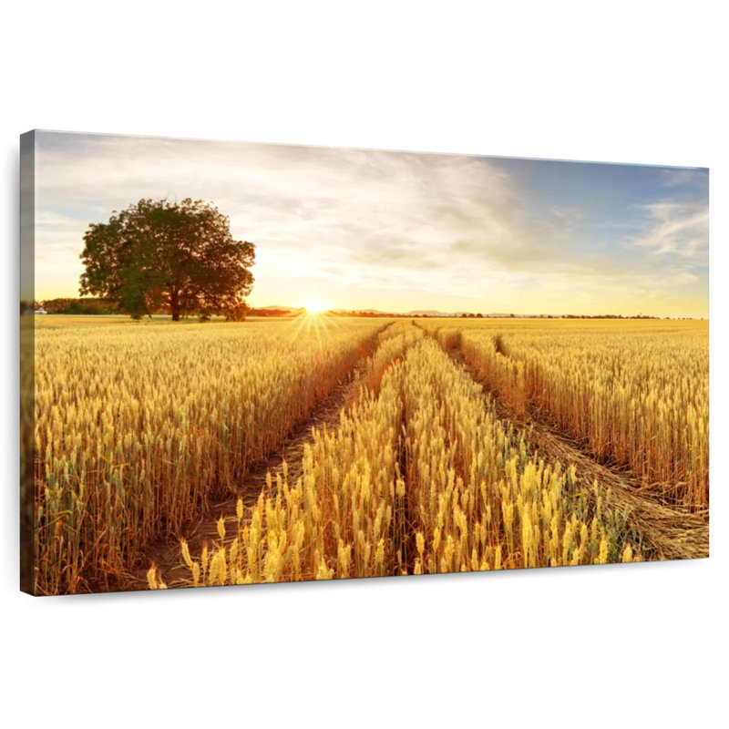 Harnek Golden Wheat Fields, 8" H x 12" W