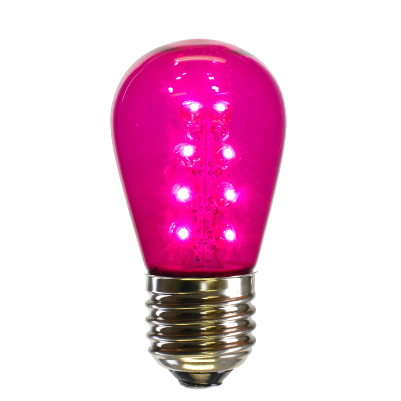 Holiday Lighting