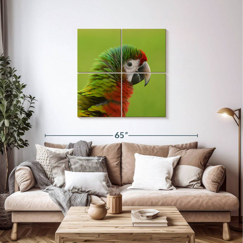 Macaw Bird Head