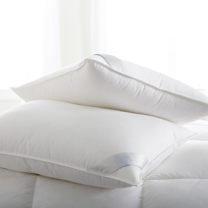 Bergen Down Free Pillow Firm, Queen