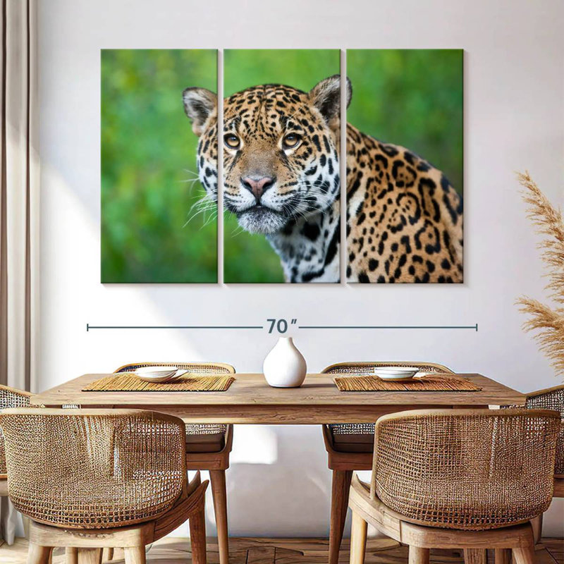 Jaguar Gaze