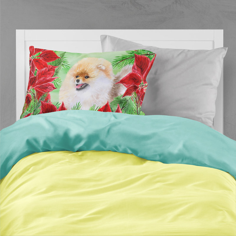 Microfiber, Pomeranian