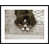 Collins Black Framed selected