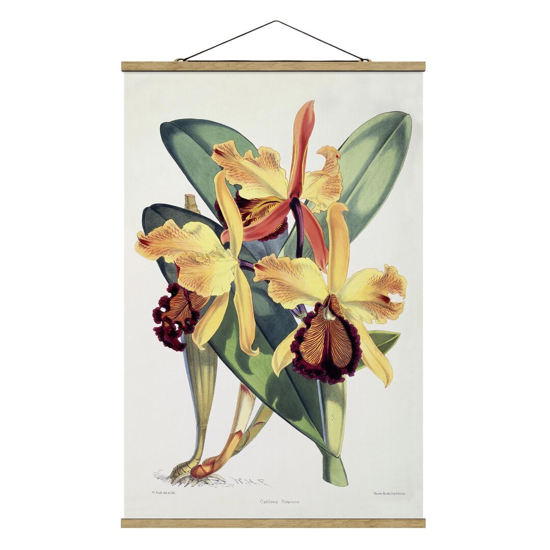 Stoffbild Orchid von Walter Hood Fitch