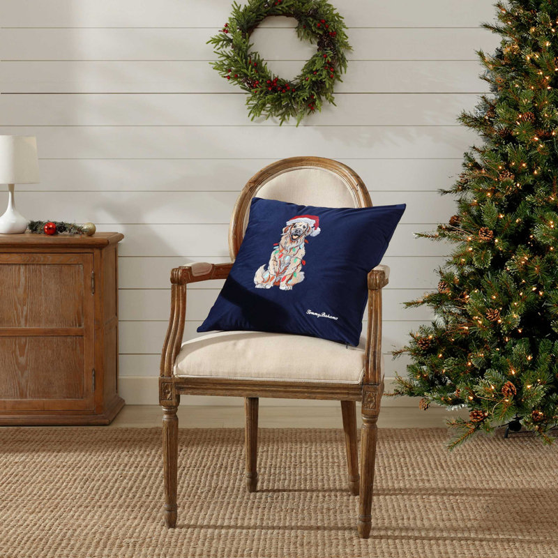 Pillow Cover & Insert, 20" H x 20" W, Blue/Beige/Red, Square