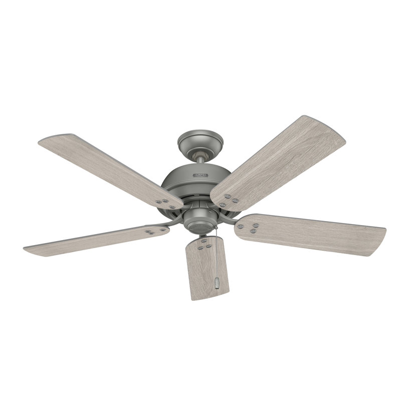 52" Shady Grove 5 - Blade Ceiling Fan With LED Light Kit And Pull Chain, Matte Silver