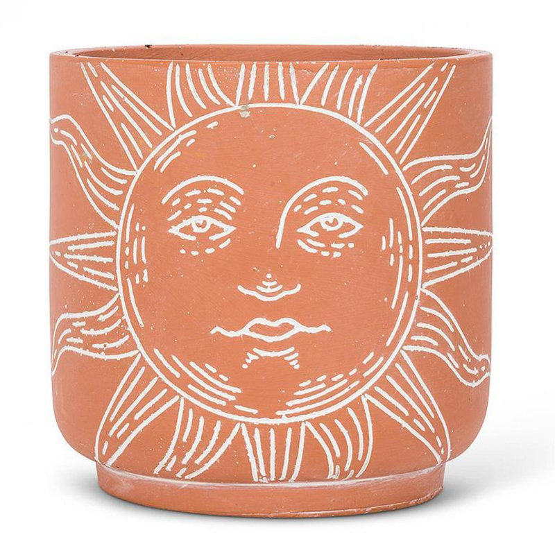 Coleg Sun Face Planter