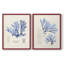 Algue bleue bleue - reproduction encadrée de qualité supérieure - prête à être accrochée - aucun clou requis - aucun clou requis-807077252-807077255