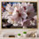 «Blossoming Cherry Flowers In Spring I», reproduction sur toile
