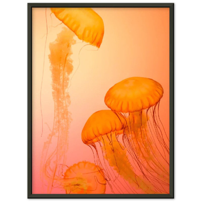 Impression sur toile méduse - «Marine Marine Life», méduse, reproduction sur toile, H 24 po x l 18 po x P 0,12 po, Acrylique