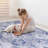 Washable Rug 5X8 Area Rug-1415663708
