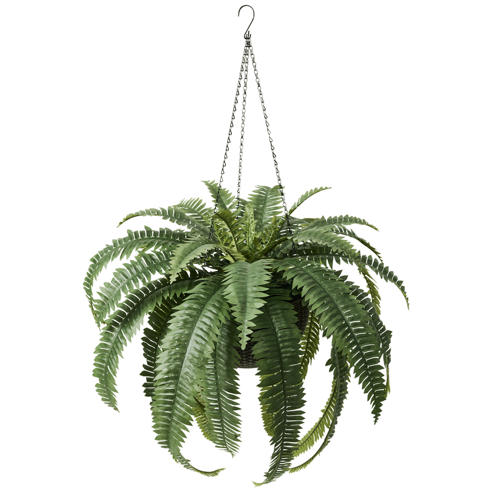 Adcock 30" Fern Plant in Basket, 2