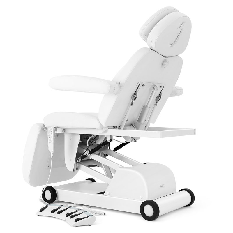 Alwyn Home Full Electrical Adjustable Facial Bed Reclining Massage Chair With 3 Color Light