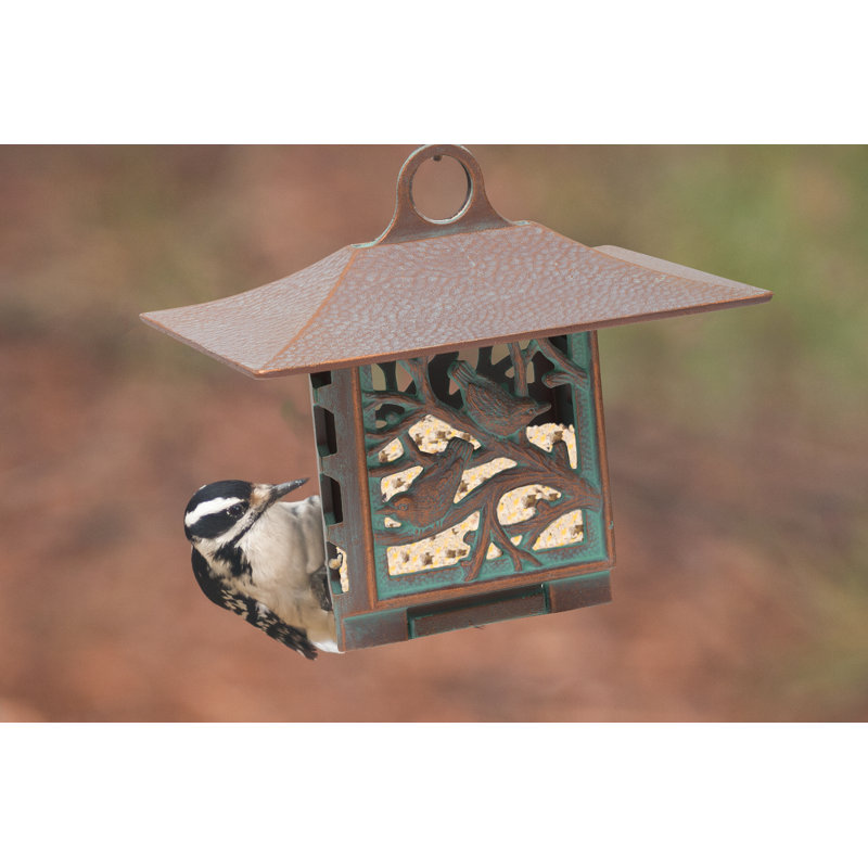 Nuthatch Suet Bird Feeder, French Bronze