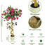 120cm Plant