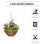 Ajnesh Hanging Planter