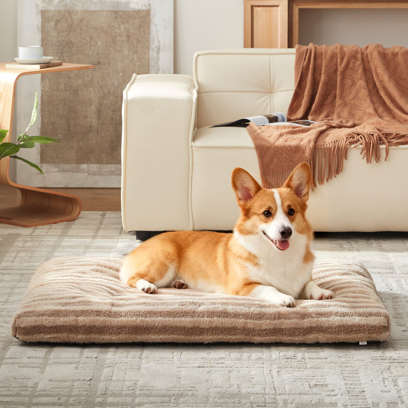 Lit pour animal de compagnie, lit pour chien et chat anti-angoisse, matelas moelleux avec fond antidérapant, tapis pour chien lavable et confortable pour plancher ou cage, brun beige