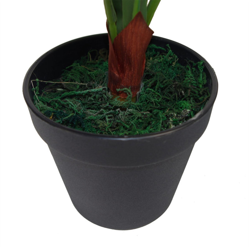 60cm Faux Fern Plant in Pot Liner, 50 cm x 50 cm