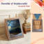 Happy & Polly 19.5'' x  17.3'' 3D Classic Artistry Cat Scratcher with Cozy Cat Bed-390652515