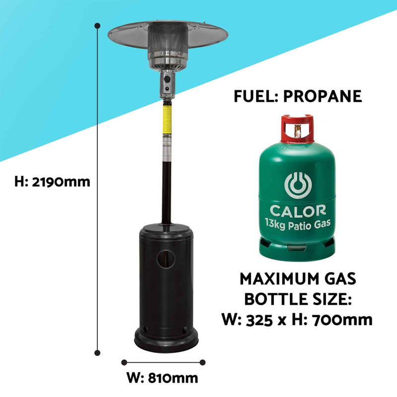 Antjedine Stainless Steel Propane Standing Patio Heater, Black