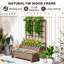Raised Garden Bed with Trellis-190782456