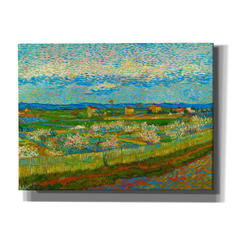 «Peach Trees In Blossom» sur toile par MASTERS Print, H 12 po x l 16 po x P 0,75 po