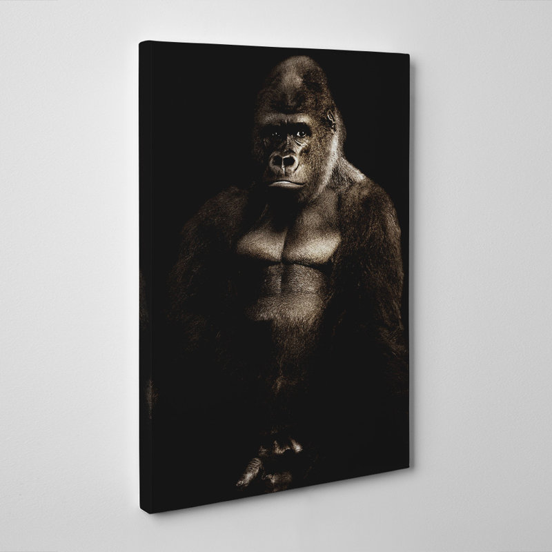 Photographic - Wrapped Canvas, 50cm H x 35cm W