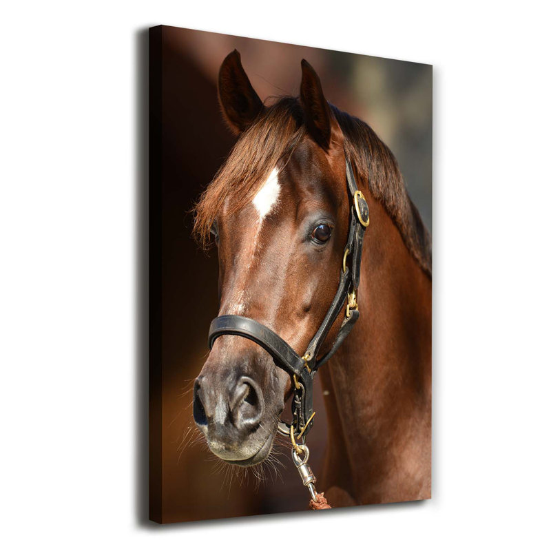 Portrait Of A Horse - Wrapped Canvas Print