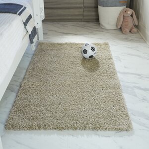 Wayfair Basics® Shag Beige Area Rug