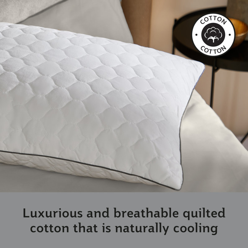 Sealy Deeply Full Pillows 2 Pack
