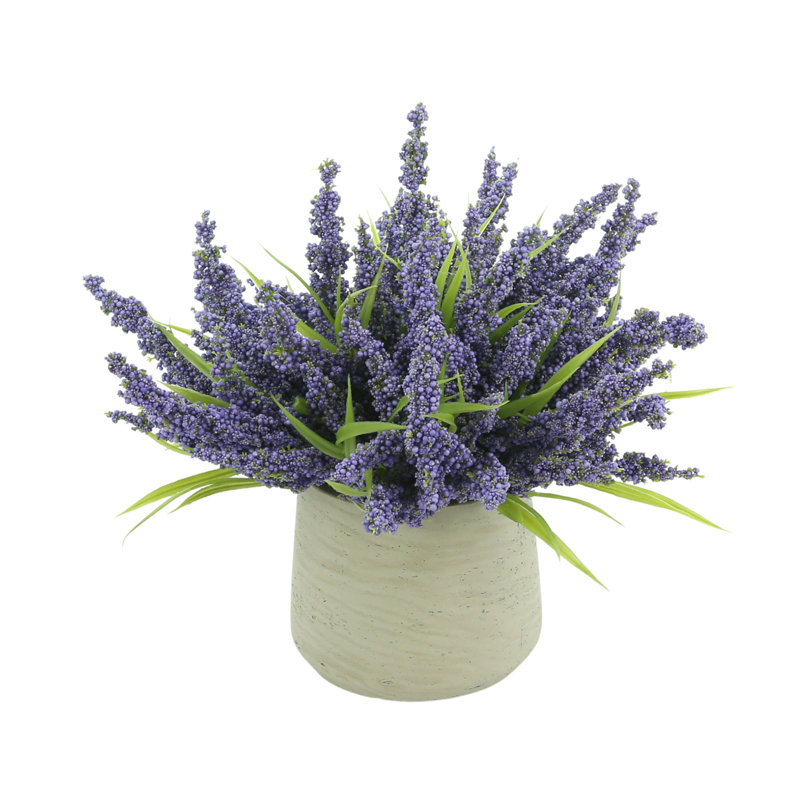 Ferdinand Heather en pot, Lavande