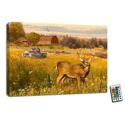 «Deer in the Meadow» 18 x 24, impression DEL entièrement colorée