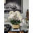 Helena Boat Planter With Phaleanopsis Orchids-111971878