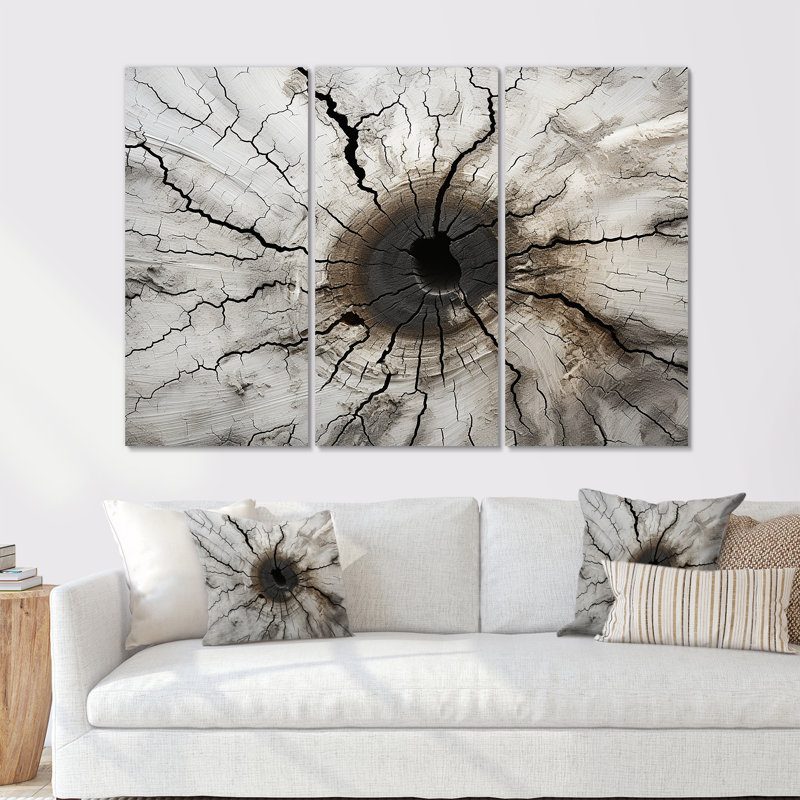 «Tree Cut Stump Beauty I - Tree Redwood», ensemble de reproduction d'art mural, Toile tendue, H 40 po x l 60 po x P 1 po