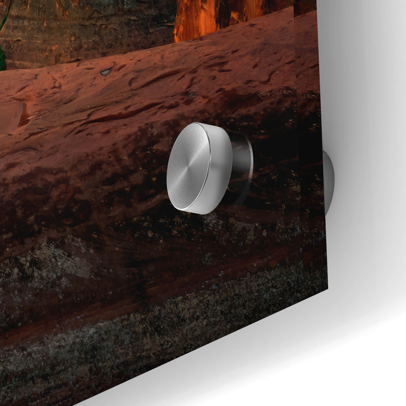 Art mural en verre Loon Peak «Delicate Dawn» par Rick Berk, H 24 po x l 36 po x P 0,2 cm