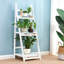 Dashiell 110cm H x 35cm W Wood Ladder Bookcase