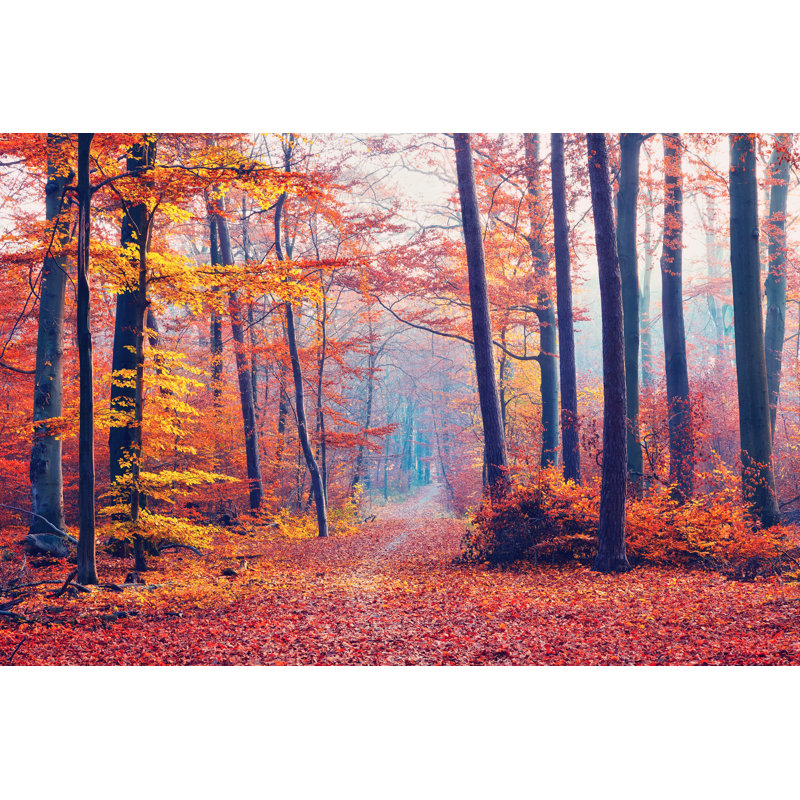 Foggy Autumn Forest by Sborisov - Wrapped Canvas Print, 20cm H x 30cm W x 3.8cm D