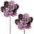 Mauve est en rupture de stock