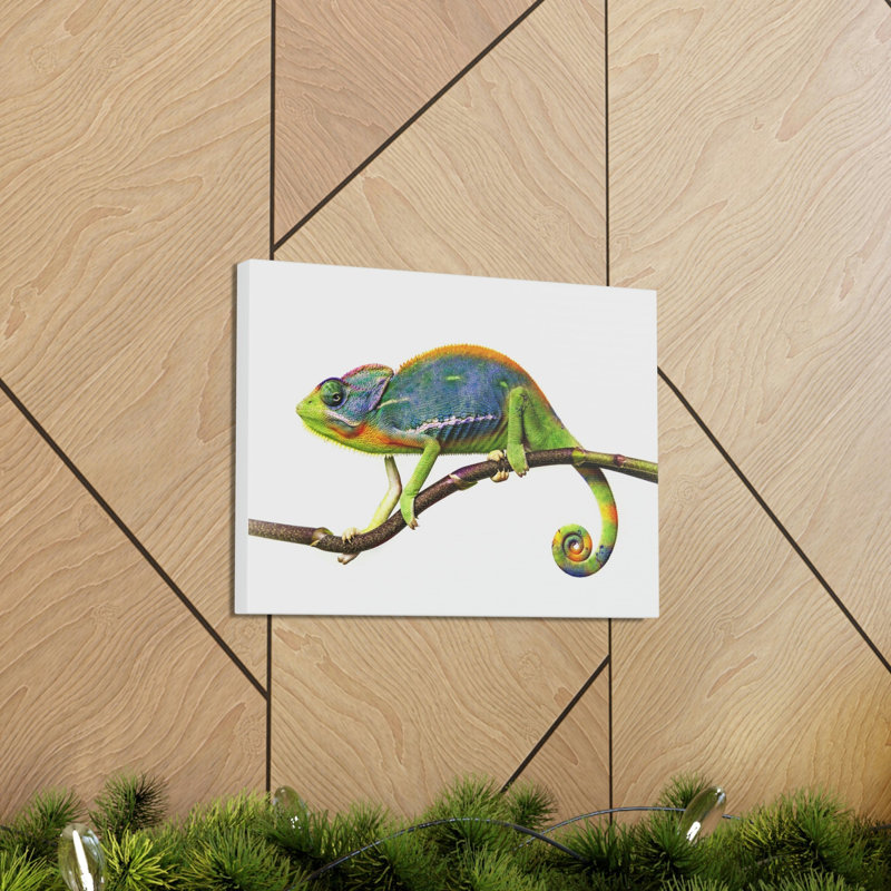 No Frame Print on Canvas, 30.48cm H x 45.72cm W
