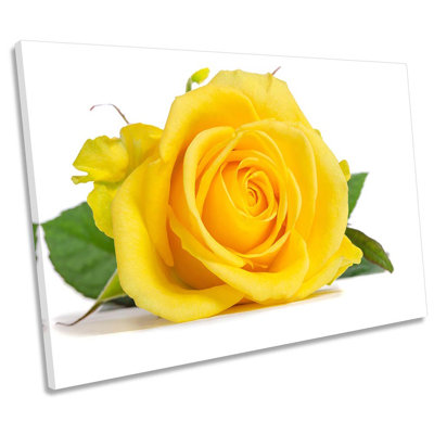Rose Floral Flower - Wrapped Canvas Art Prints