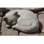 Small Curled Cat Statue-13914280