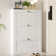 Shoe Storage Cabinet with 3 Flip Drawers