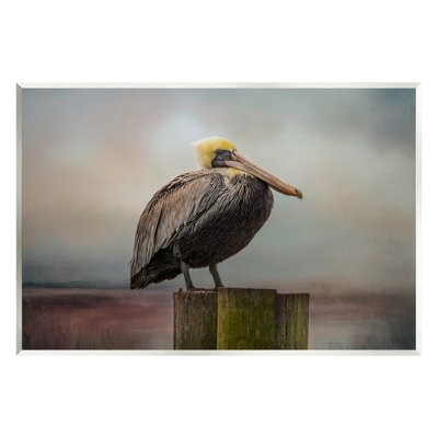 Art mural sur toile Pelican