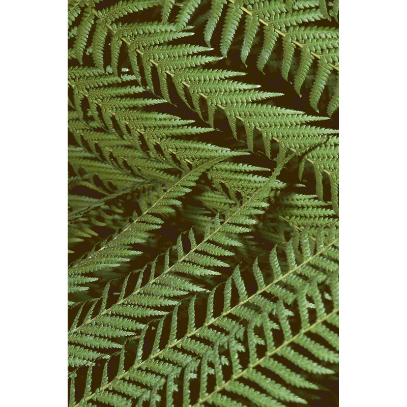 Motif de la nature II, H 18 po x l 12 po