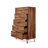 Finney 5-Drawer Chest with Metal Leg-1617311277