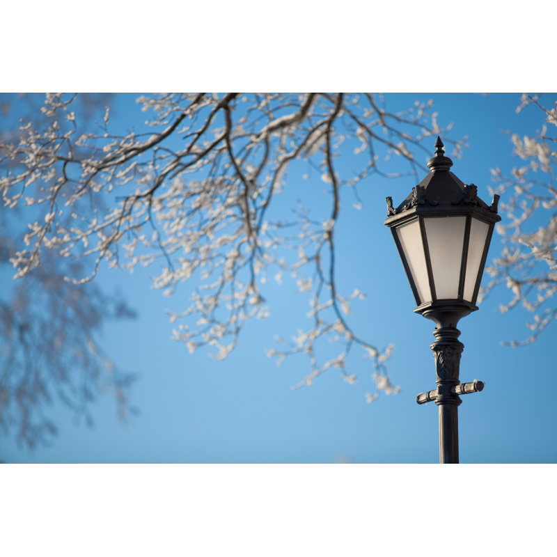 Snow Covered Branches - Wrapped Canvas Print, 30cm H x 46cm W