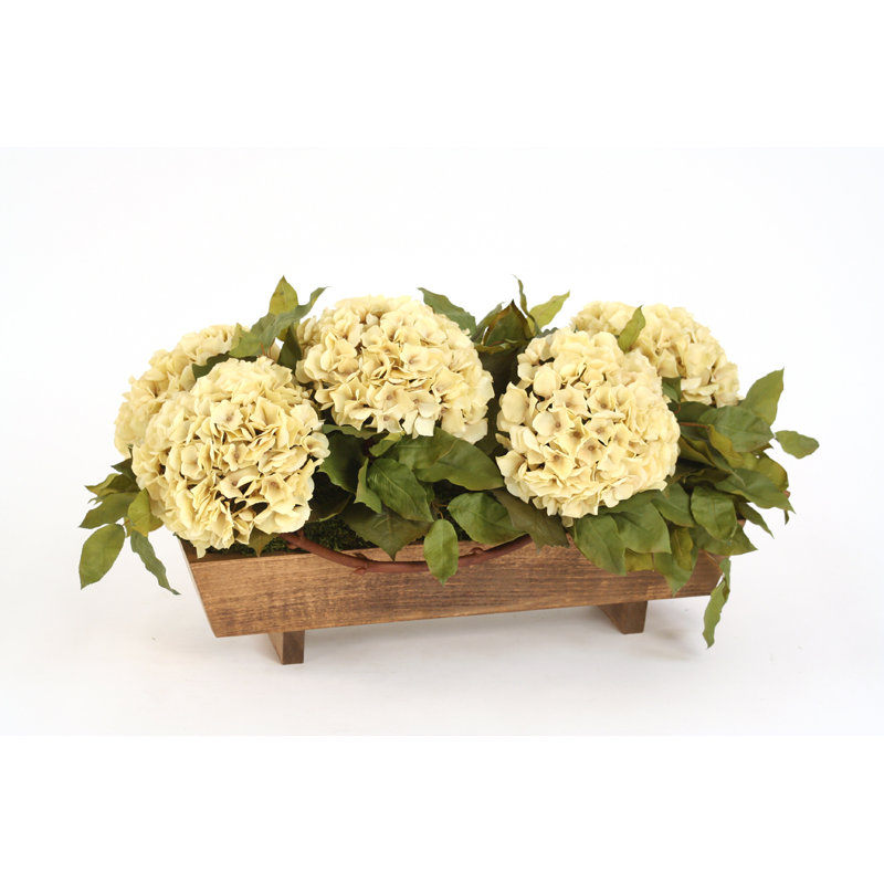 Hydrangea Arrangement