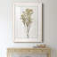 Farmhouse Pressed Flower II - peinture encadrée-1572627889-1572627888