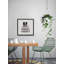 Getting Ready For Show - Single Picture Frame Painting-824238784